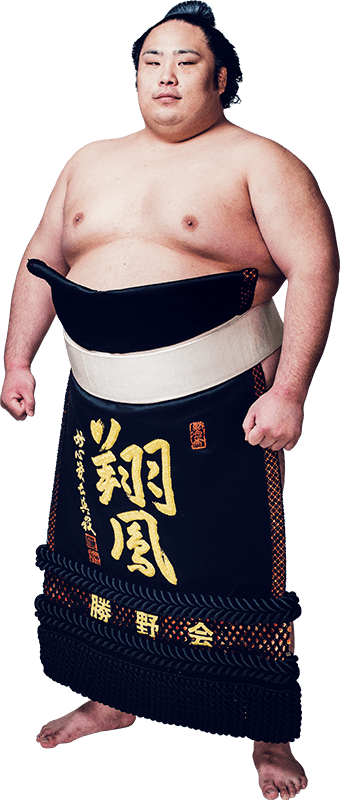 Chiyootori