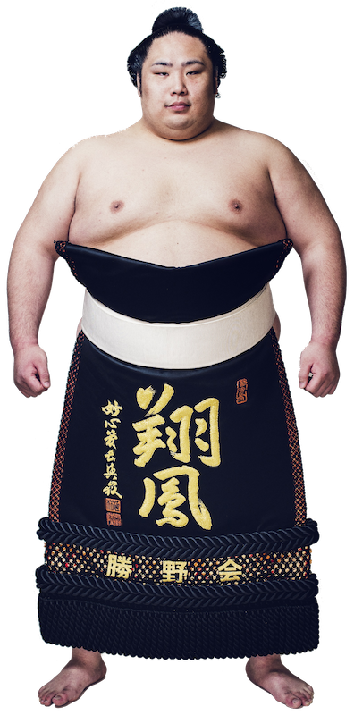Chiyootori